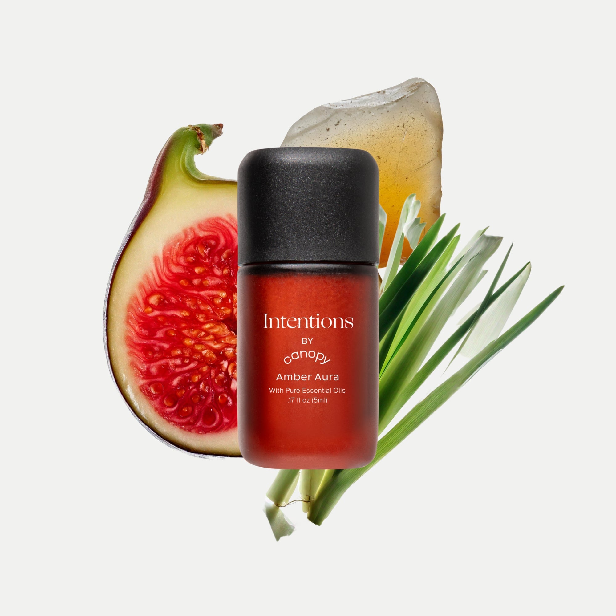 Encore Aroma Kit - Image 5