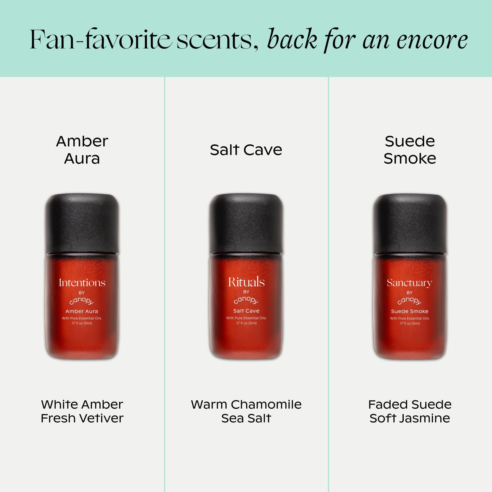Encore Aroma Kit - Image 3