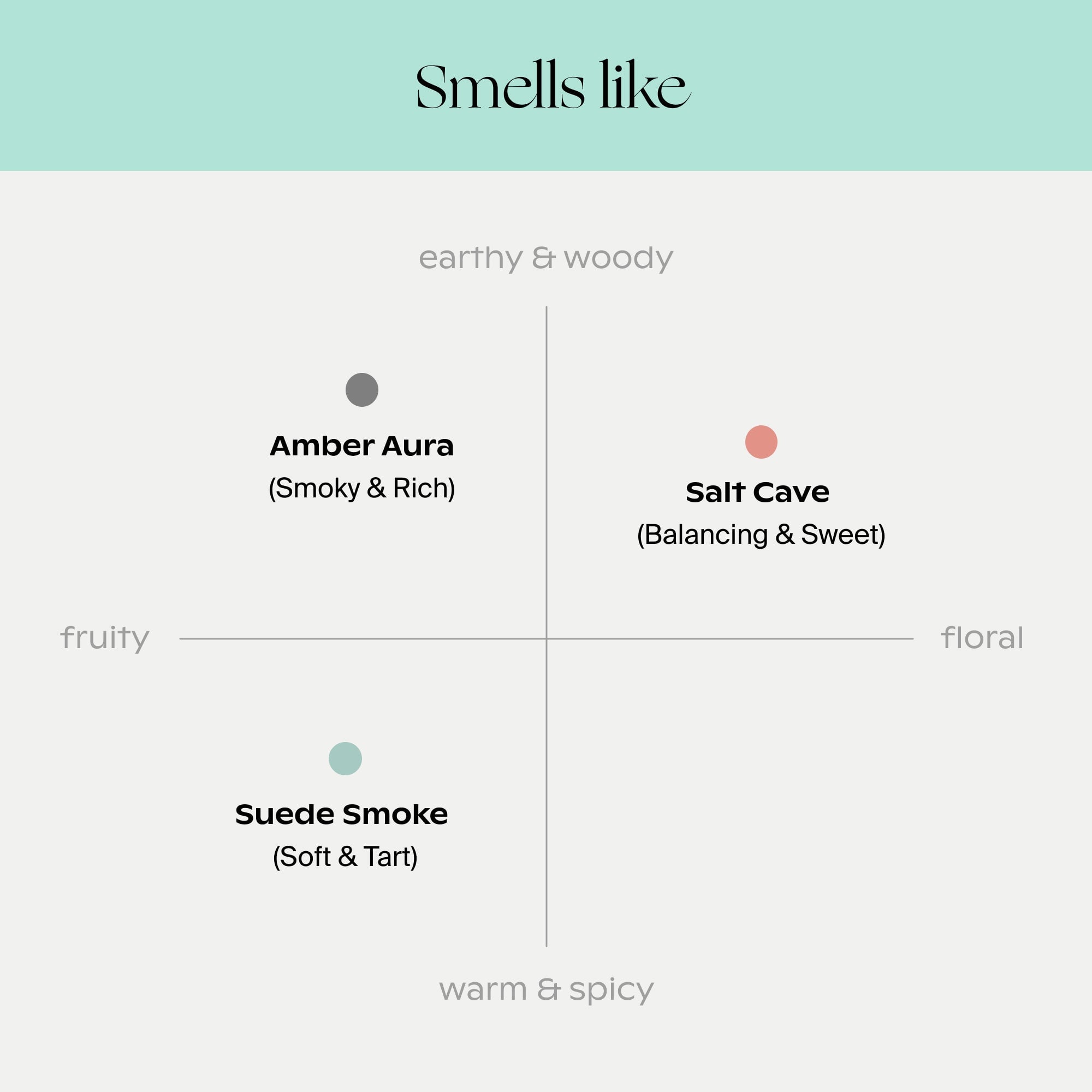 Encore Aroma Kit - Image 4